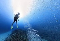 Подводный мир в 360: возвращаемся на дно
